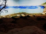 (75)Da el Alamein a Salerno.jpg